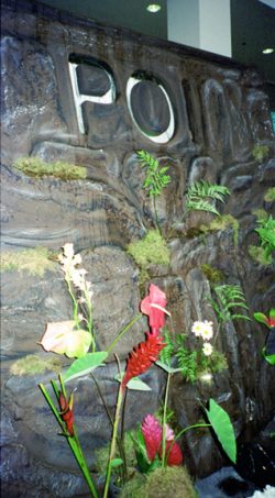 John Bushby made us the most wonderful POI waterfall using plywood and his favorite foam stuff. The POI letters glowed with a green light from below. It was truly magnificent. John's Waterfall - Food & New Product Show