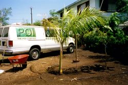 We purchased the empty lot next to the factory and converted it into our parking lot and "garden." Poi Company Delivery Van in New "Parking Lot"