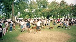 Large crowds always attracted us -- an opportunity for us to bring Poi to the World. We demonstrated (and often sold) our poi products at these festivities, hoping that this would translate into retail sales at the grocery stores.