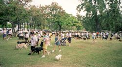 PoiCo was, of course, there to sell our products -- and contribute the proceeds to the Humane Society.