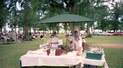 If there was an exhibition, show, festivity of any sort -- we were there with a booth or table, bringing Poi to the World. Here are Marjorie Walsh and Cathy and John Bushby selling poi products -- including poi ice cream -- at Kapiolani Park. I believe this was a "dog walk" sponsored by the Humane Society.