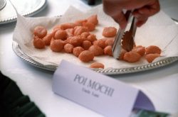 Poi Company Press Launch, 1998 — frame 00332